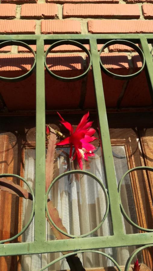 Lo De Su Bed & Breakfast ซัลตา ภายนอก รูปภาพ
